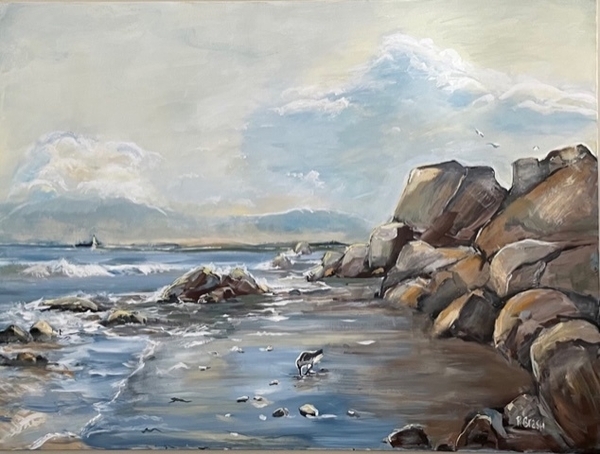 Sandpiper Cove