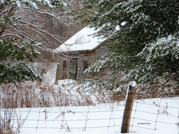 Wrapped in Winter