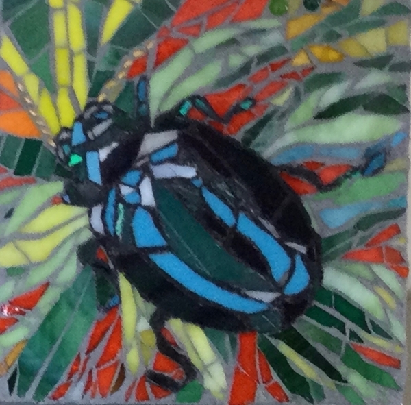Beetle