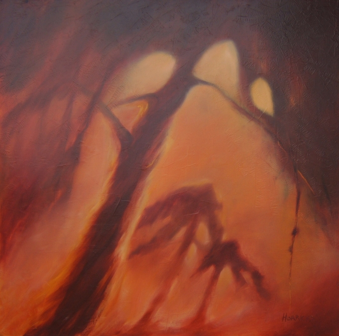 Evening Embers