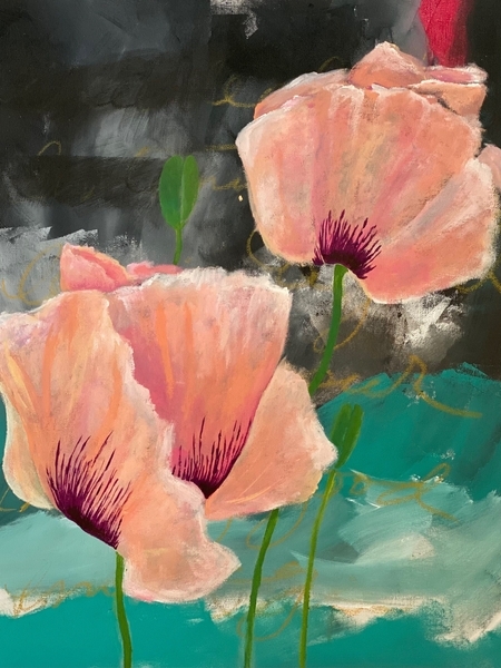 Holmwood Poppies
